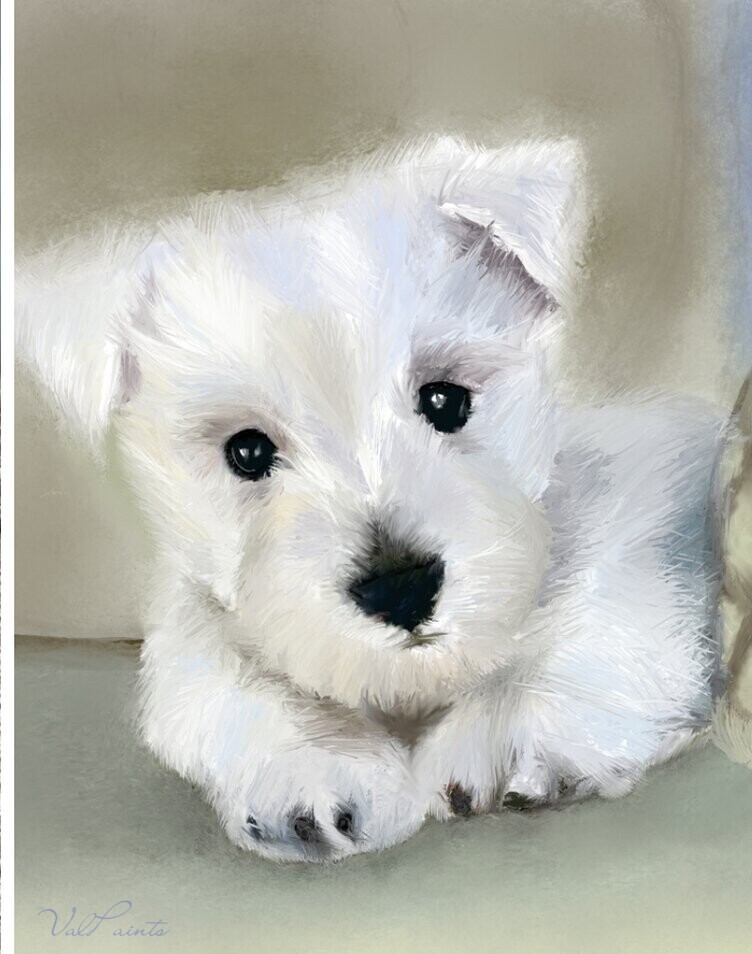 Hand-painted portrait of a westie puppy resting on a cushion
