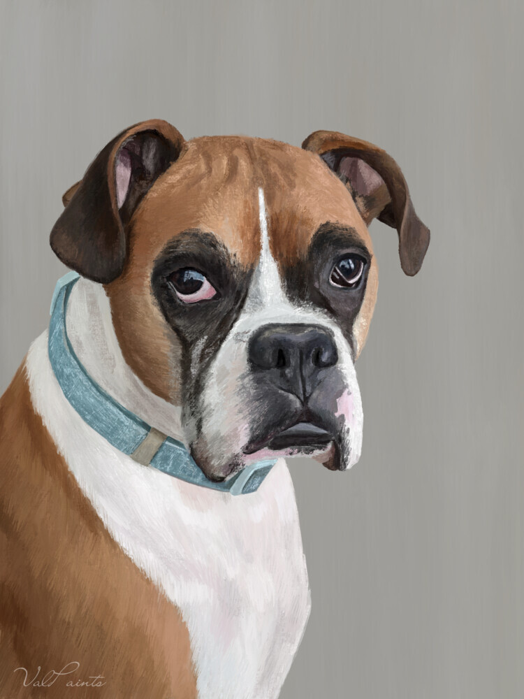 Hand-painted portrait of a boxer wearing a blue collar, set against a soft plain background